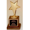 Modern Star Metal Casting Award on Walnut Finished Base (3 1/2"x6 3/4")